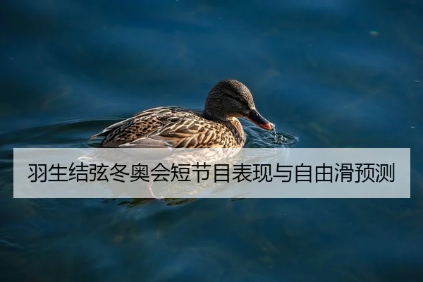 羽生结弦冬奥会短节目表现与自由滑预测